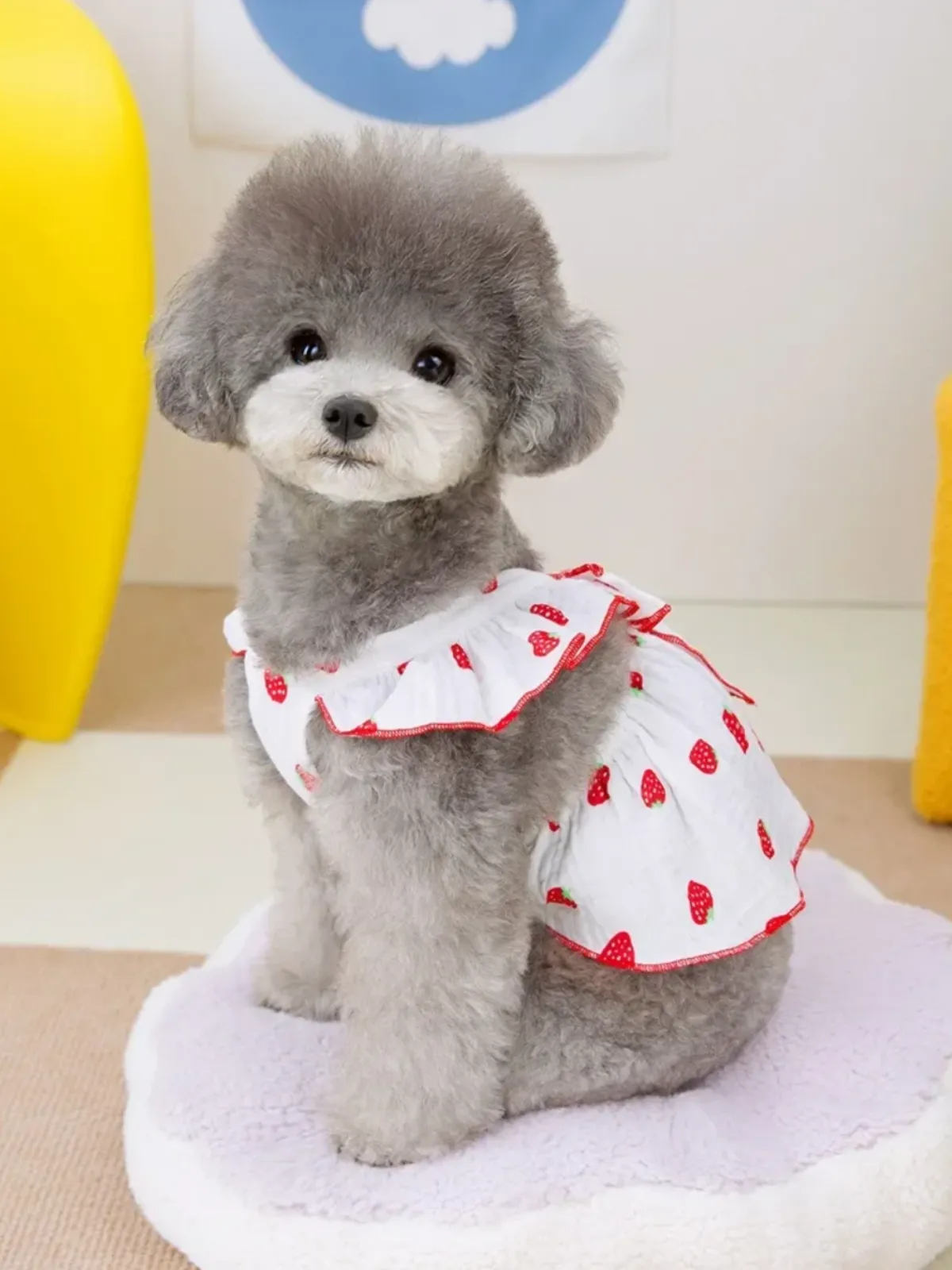 Charming Summer Strawberry Print Dog Dress