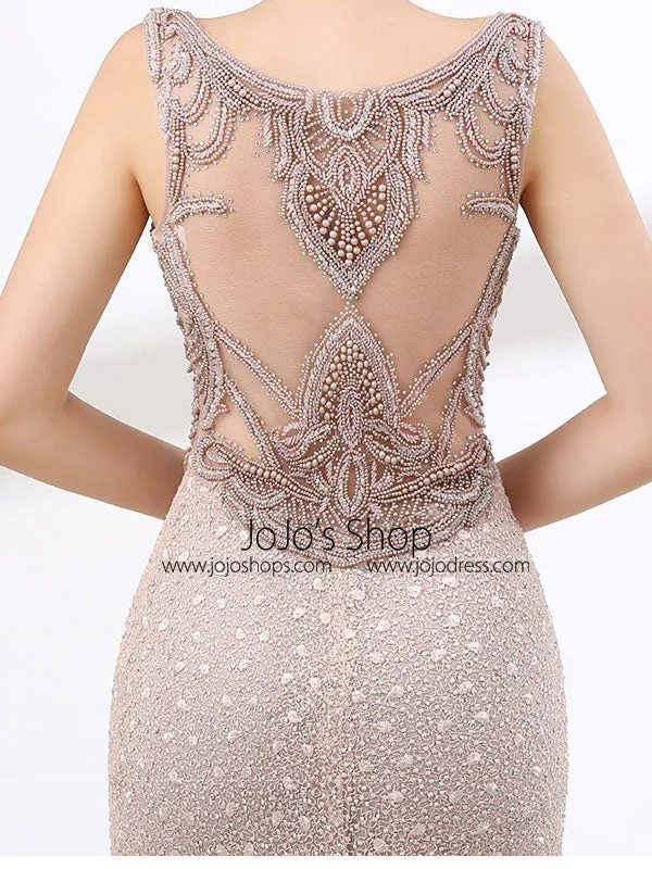 Elegant Long Formal Prom Evening Dress wtih Beautiful Back Design