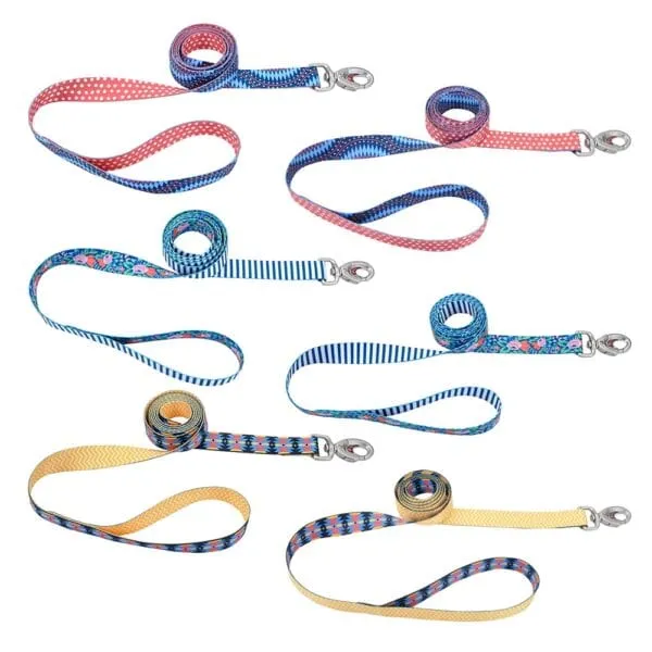 Sublime Dog Leash